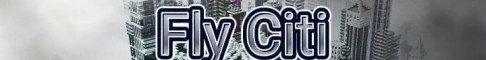 Баннер сервера Fly Citi