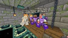 Фото на сервере Carrot SMP