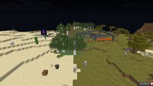Фото на сервере Bedrockcraft Выживание